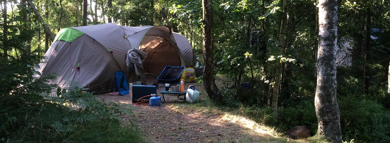 met de tent kamperen in het bos